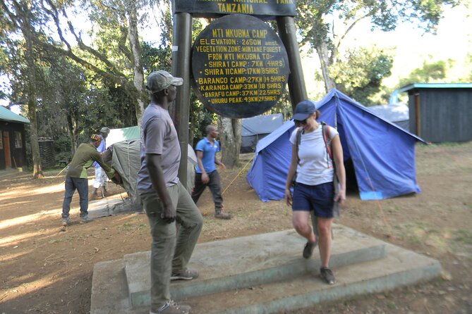 8 Days Kilimanjaro Climbing tour via the Lemosho Route - Day 3: Shira 2 and the Lava Tower acclimatization walk