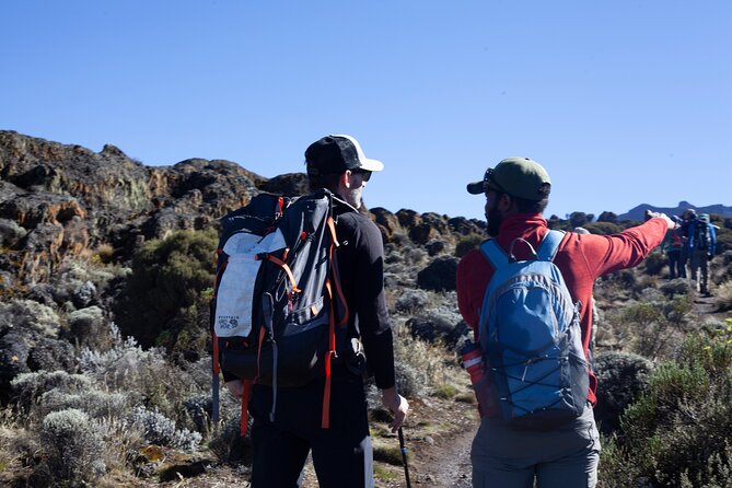 8 Days Kilimanjaro Climbing tour via the Lemosho Route - Day 5: Barranco Wall and Karanga Camp