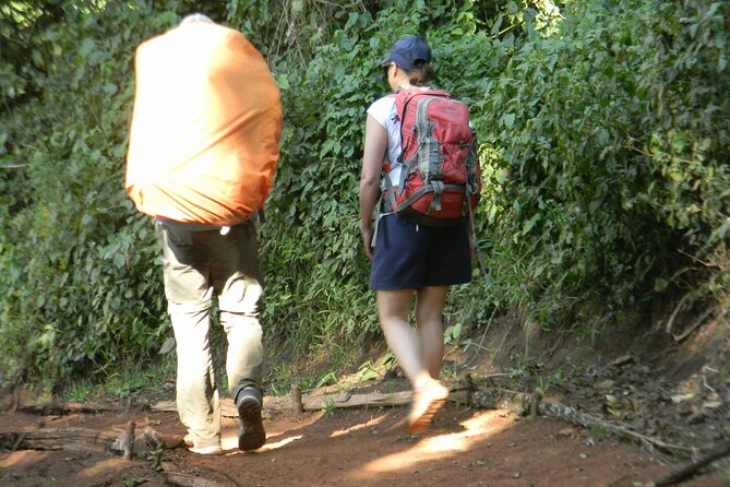 8 Days Kilimanjaro Climbing tour via the Lemosho Route - Day 6: Barafu Summit Camp and a quiet afternoon