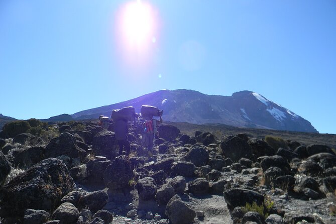 8 Days Kilimanjaro Climbing tour via the Lemosho Route - Day 2: Shira 1 and the first wide views