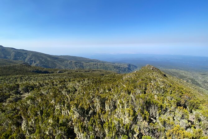 8 Days Lemosho Route - Day 6: Across ridges to Barafu Hut