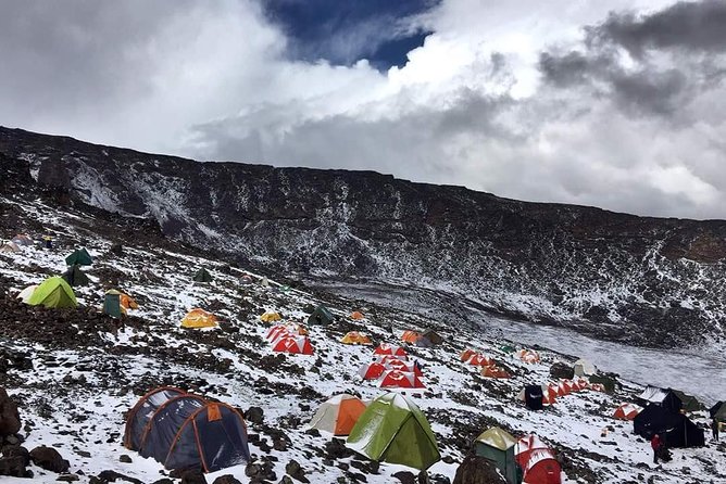 8 Days Lemosho Route Climbing - The first hike to Mti Mkubwa Camp