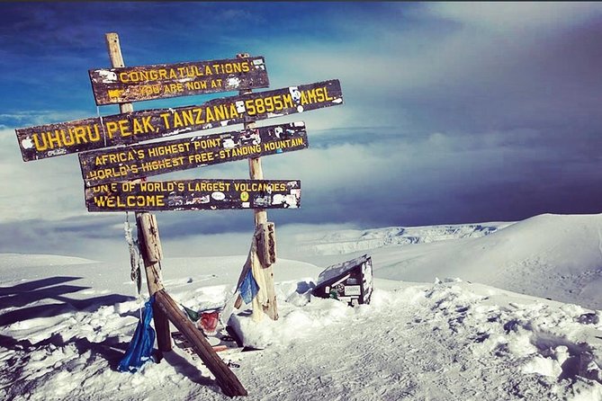 8 Days Lemosho Route Climbing - Summit day and Uhuru Peak