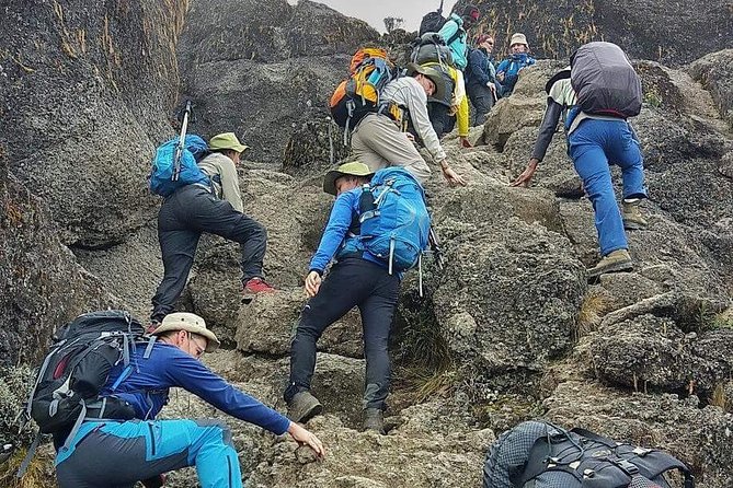 8 Days Lemosho Route Climbing - The people behind the climb