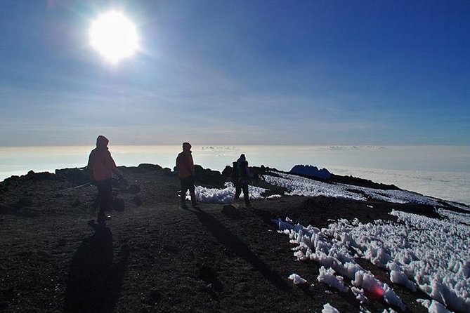 8 Days Lemosho Route Climbing - Fitness, comfort, and what to expect