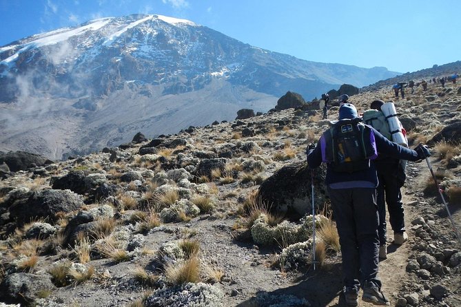 8 Days Lemosho Route Kilimanjaro Trekking - Key points to know before you book