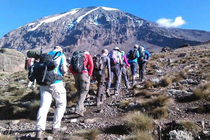 8 Days Lemosho Route Kilimanjaro Trekking - Day 2: Shira Ridge and the first wide views
