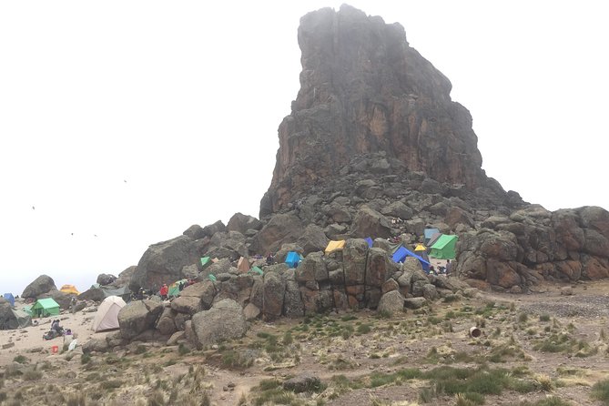 8 Days Lemosho Route - Day 2: Heather country and the Shira Ridge