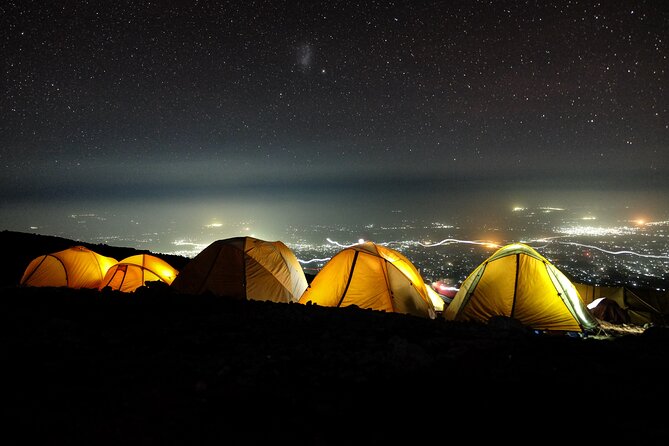8 Days Mountain Kilimanjaro Lemosho Route - Day 2: From rainforest to Shira 1 Camp