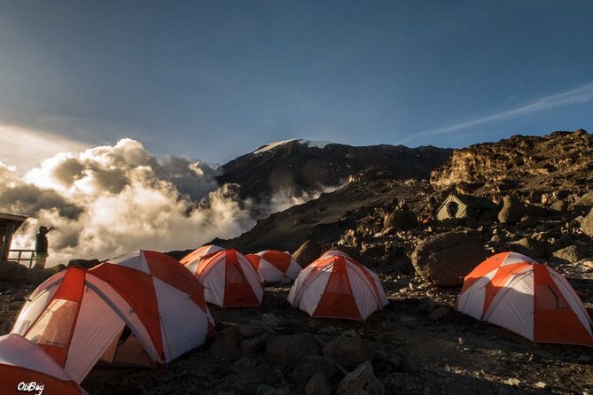 8 Days Mt Kilimanjaro Climb - Lemosho Route - Days 6 and 7: Shorter walks before the summit attempt