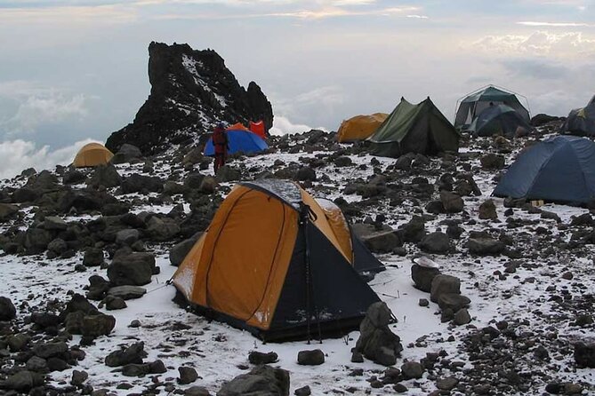 8 Days Mt Kilimanjaro Climb - Lemosho Route - Day 9: Returning toward Moshi