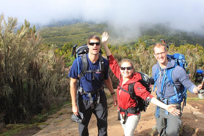 8 Days Mt Kilimanjaro Climb - Lemosho Route - What the $2,950 price really covers