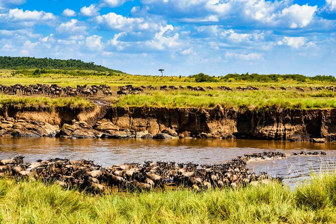 8 Days Private Safari in Serengeti Tour - Day 1: A gentle arrival in Arusha