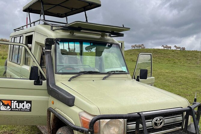 8 Days Serengeti Migration safari - Key points to know before booking