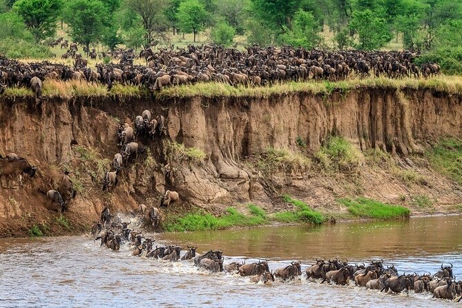 8 Days Serengeti Migration safari - Day 2: Mto wa Mbu biking and Lake Manyara wildlife