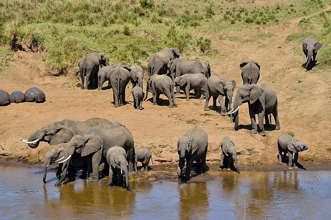 8 Days Tanzania Simba Luxury Safari - Serengeti: allow two nights for the best chance