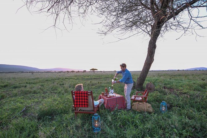 8 Days Tanzania Wildlife Safari Experience - Why this safari route works so well