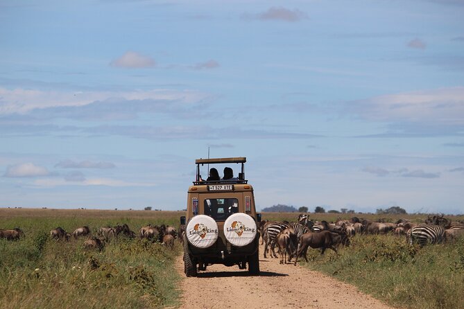 9-Day Serengeti Migration Footsteps Tanzania Safari - Returning through Seronera for predators