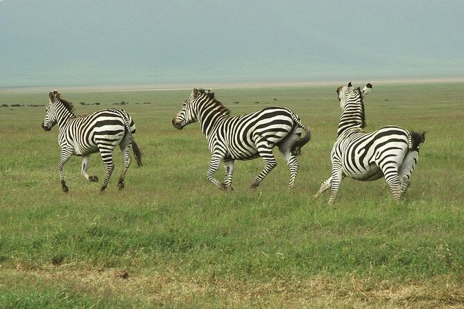 9-Day Ultimate Tanzania Honeymoon Safari Luxury Package - Lake Manyara: an excellent first safari stop