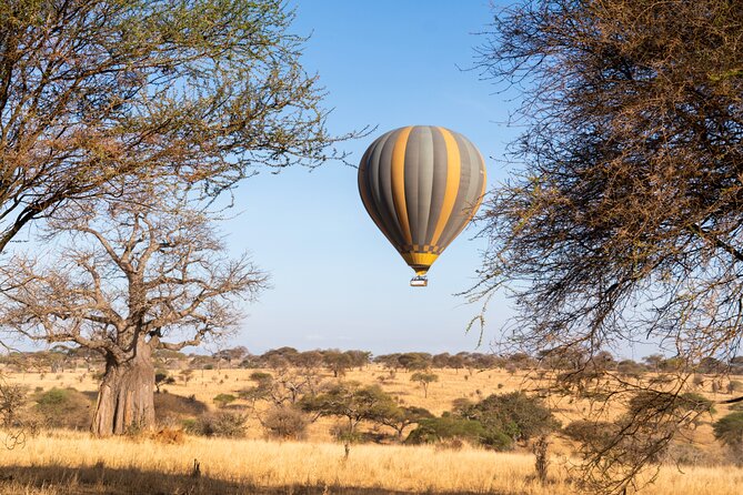 9 Days Great Migration Safaris with Kojuu Safaris Africa-Luxury. - Day 1: A supported arrival from Kilimanjaro Airport