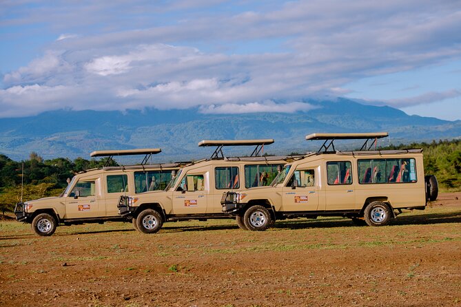 9 Days Great Migration Safaris with Kojuu Safaris Africa-Luxury. - Day 7: Final Serengeti wildlife, then Karatu