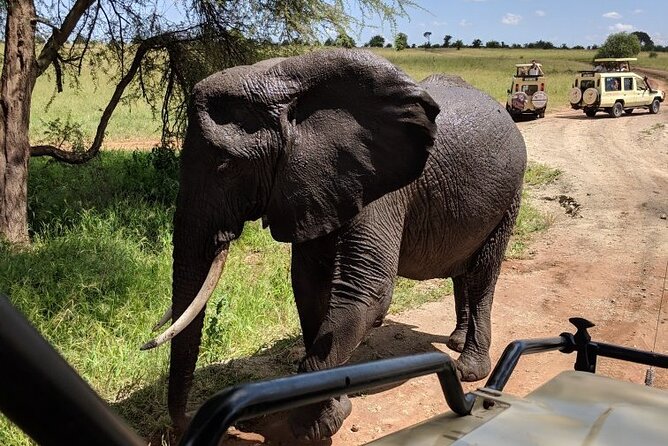 9-Days High End Road and Air Kenya Safari - What kind of safari is this?