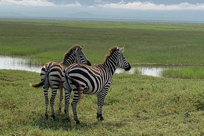 9-Days High End Road and Air Kenya Safari - Day 8: A full day at Ol Pejeta