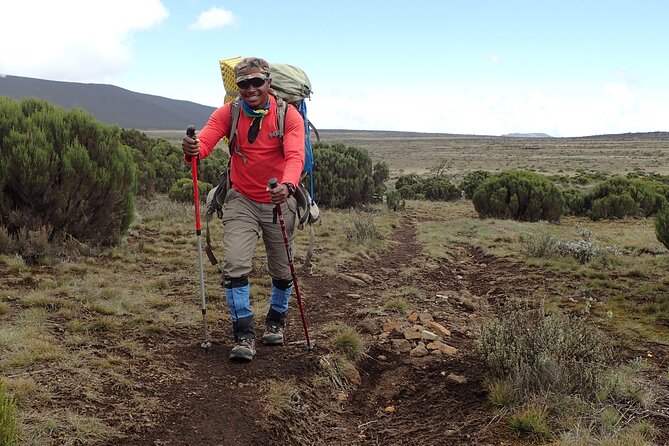 9 Days Kilimanjaro Climb via Lemosho Route - Day 1: Airport arrival and a Moshi briefing