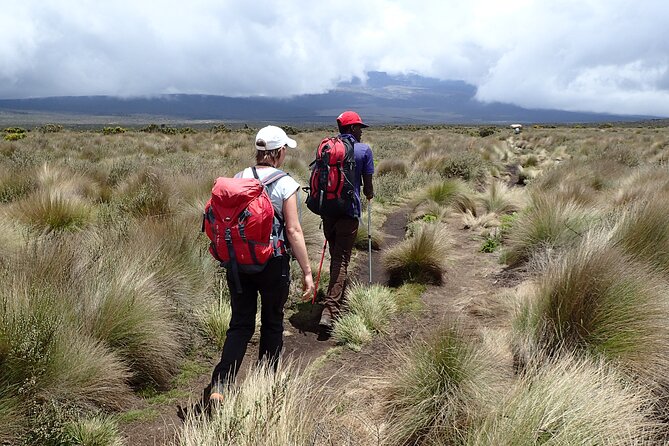 9 Days Kilimanjaro Climb via Lemosho Route - Day 5: Alpine desert and Lava Tower