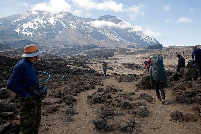 9 Days Kilimanjaro Hiking or Climbing via Northern Circuit route - Day 3: Exploring the Shira Plateau