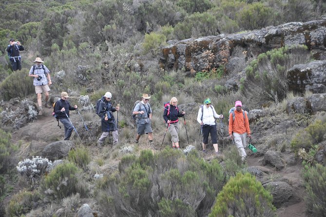 9 Days Mount Kilimanjaro Climb Machame Route - Day 1: A gentle start at Stella Maris Lodge