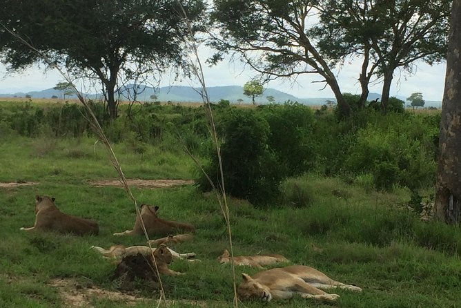 A day trip to mikumi from morogoro - What this Morogoro to Mikumi trip really offers