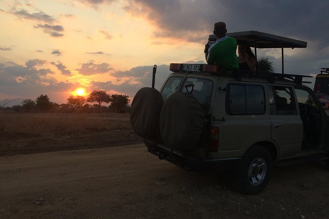 A day trip to mikumi from morogoro - Price, exclusions, and actual value