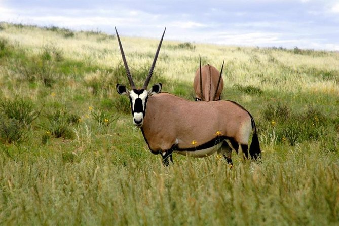 A Day Trip To Saadani National Park From Dar es salaam / Zanzibar - Key points to know before booking