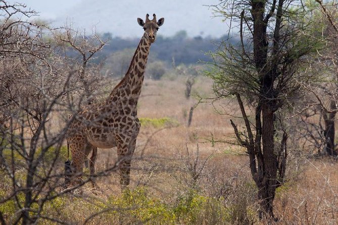 A Day Trip To Saadani National Park From Dar es salaam / Zanzibar - The Wami River and Saadani’s coastal character