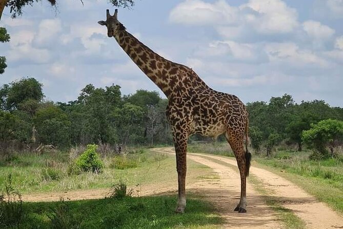 A Day Trip To Selous Fly From Zanzibar - Who will enjoy this day most?