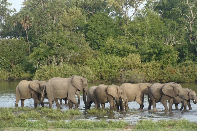 A Day Trip To Selous Fly From Zanzibar - Landing inside Selous Game Reserve