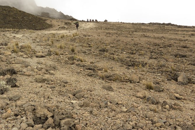 A Definitive Guide For the 7-day Kilimanjaro's Lemosho Route 2025 - Day 4: Moir Hut to Lava Tower and Barranco Camp