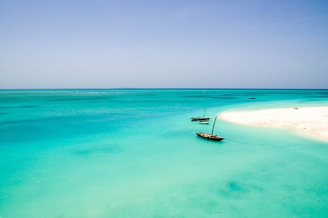 A Half Day Private Dolphins And Snorkeling Tour To Mnemba Island - Why this short Zanzibar tour works