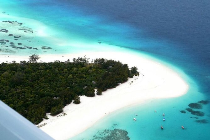 A Half Day Private Dolphins And Snorkeling Tour To Mnemba Island - Coral reefs close to Mnemba Island