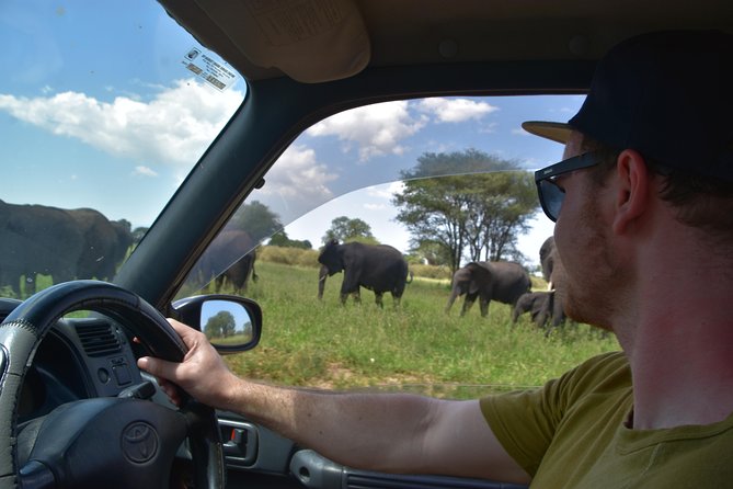 A Visit to The Giants in Tarangire NP. - Entering Tarangire National Park