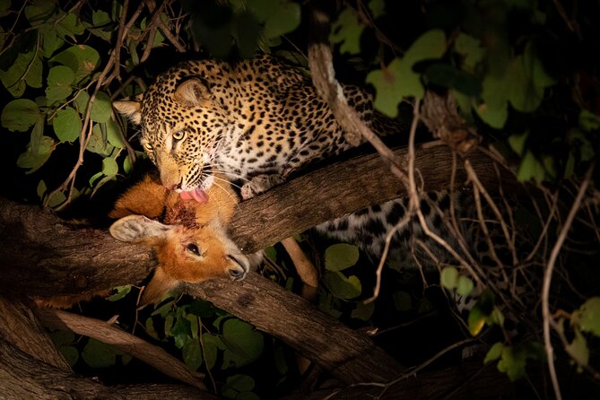 Affordable 3-Day Safari to Serengeti & Ngorongoro Crater - What the $780 price includes, and what it leaves out