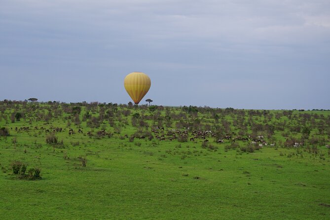 Affordable 3-Day Safari to Serengeti & Ngorongoro Crater - Guides, organization, and the human side of the trip