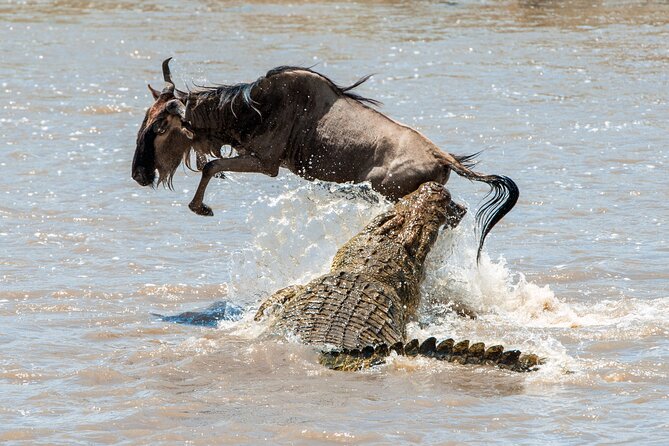 Affordable 3-Day Safari to Serengeti & Ngorongoro Crater - Camping comfort and what to pack
