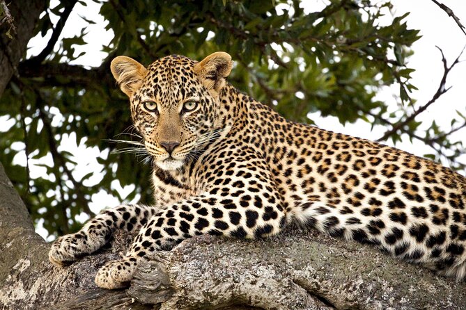 Affordable 3-Day Safari to Serengeti & Ngorongoro Crater - Day one: the long road from Arusha to the Serengeti