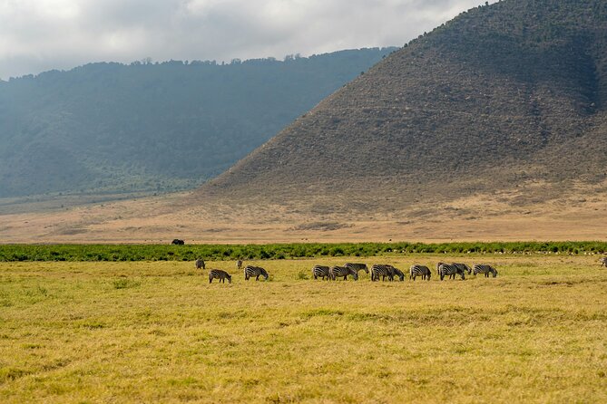 Affordable 4 Days Tanzania Private Mid-range Lodge Safari Tour - Day 1: The long road to Central Serengeti