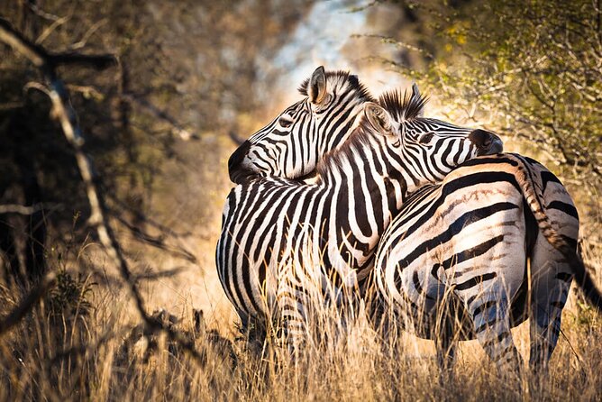 Amazing 4 Days Safari 3 Nights: Tarangire, Ngorongoro, Serengeti - Why this four-day safari works