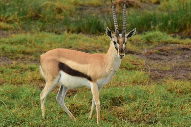 Amazing 4 Days Tanzania Budget Camping Group Joining Safari - Camping, food, and the Land Cruiser