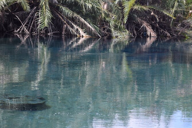 Amazing Chemka (Kikuletwa) Hot Spring Day Trip | BURIGI CHATO SAFARIS CO LTD - The overnight option: tents, fire, and a bush dinner
