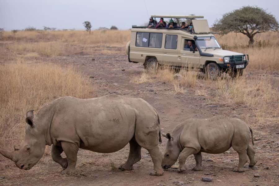 Arusha: 2 Day Tarangire & Ngorongoro Crater Big Five Safari - The 6:00 a.m. start for Ngorongoro Crater